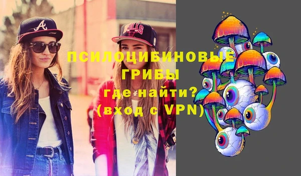 герыч Алексин