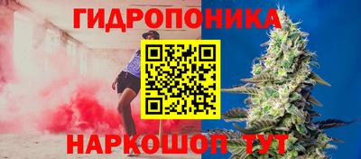 соль ск Кинель