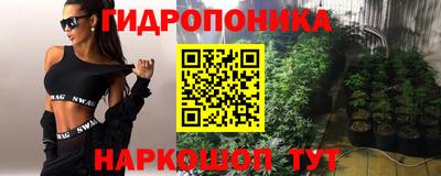 сатива Кингисепп