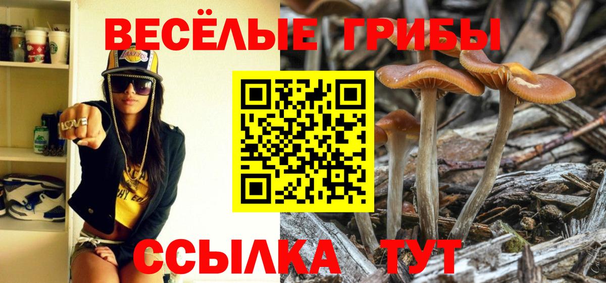 Красногорск  Галлюциногенные грибы Psilocybe  Вход с VPN  Псилоцибиновые грибы ЛСД 